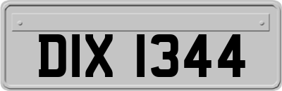 DIX1344