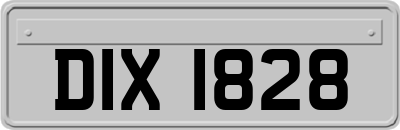 DIX1828