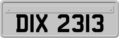 DIX2313