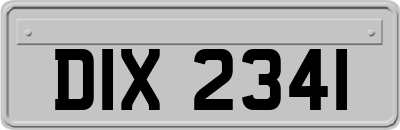 DIX2341