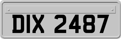 DIX2487