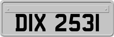 DIX2531