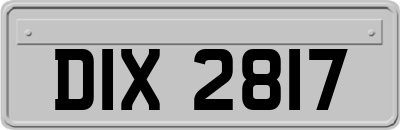 DIX2817