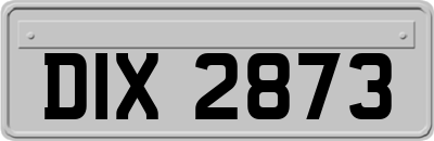 DIX2873