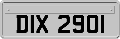 DIX2901