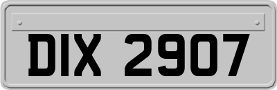 DIX2907