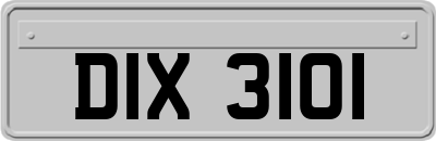 DIX3101