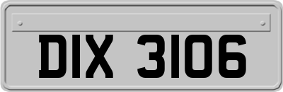DIX3106