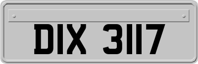 DIX3117