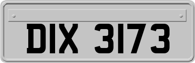 DIX3173