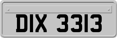 DIX3313