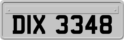 DIX3348