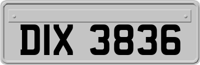 DIX3836