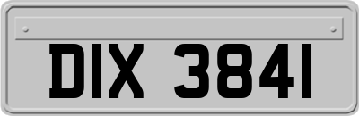 DIX3841