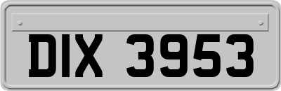 DIX3953