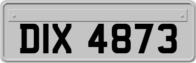 DIX4873