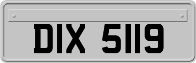 DIX5119