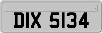 DIX5134