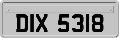 DIX5318