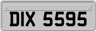 DIX5595