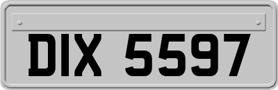 DIX5597
