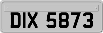DIX5873
