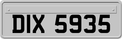 DIX5935