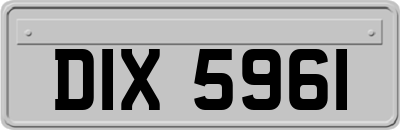 DIX5961