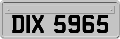DIX5965