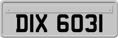 DIX6031