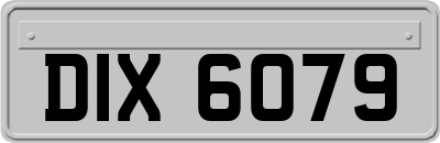 DIX6079
