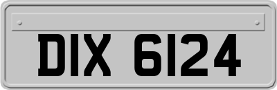 DIX6124