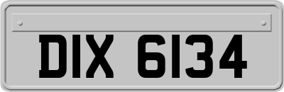 DIX6134