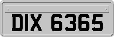 DIX6365