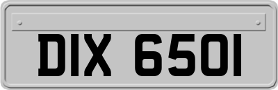 DIX6501