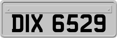 DIX6529