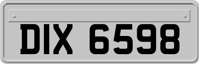 DIX6598