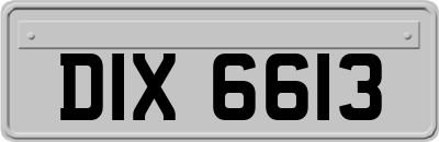 DIX6613