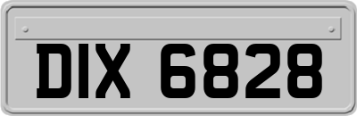 DIX6828