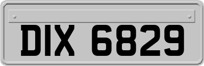 DIX6829