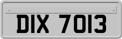 DIX7013
