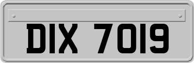 DIX7019