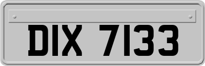 DIX7133