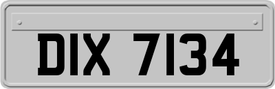 DIX7134