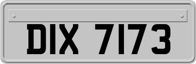 DIX7173