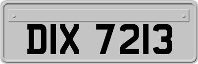 DIX7213