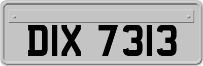 DIX7313