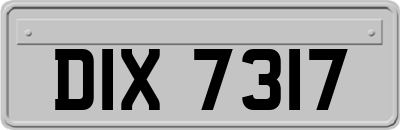 DIX7317