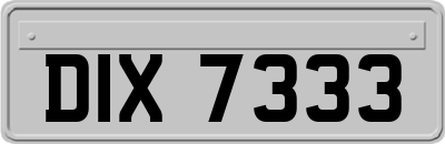 DIX7333