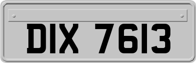 DIX7613